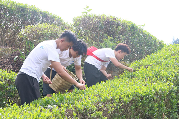 5d80920f5a3d460ba9f1e23d4400fcdd.png taptap官方网站